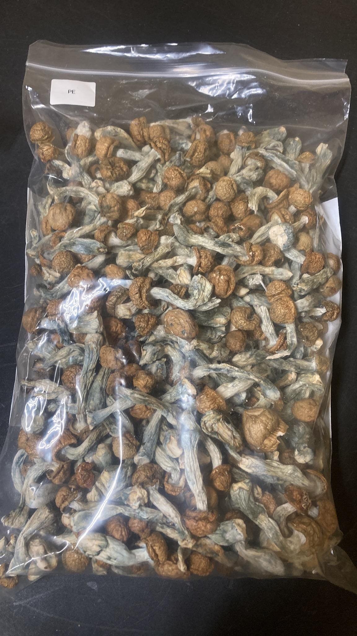 Penis Envy